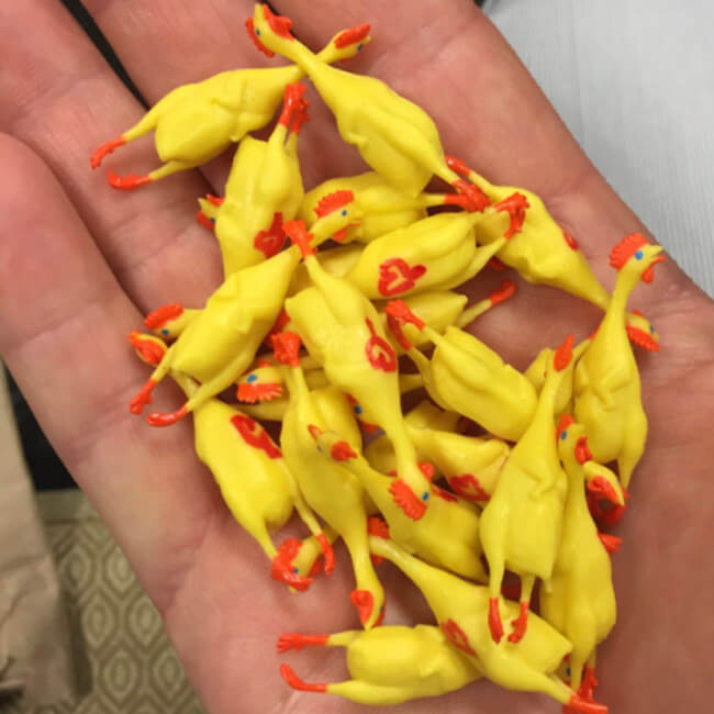 Tiny Rubber Chickens